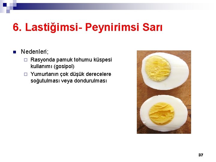6. Lastiğimsi- Peynirimsi Sarı n Nedenleri; Rasyonda pamuk tohumu küspesi kullanımı (gosipol) ¨ Yumurtanın