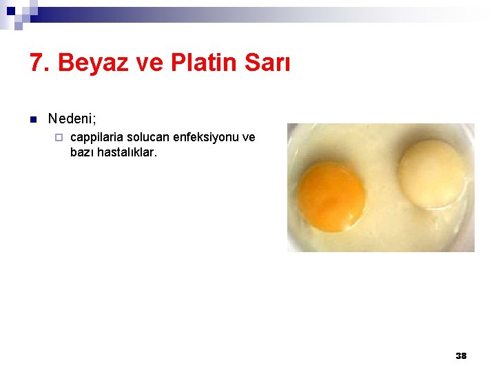 7. Beyaz ve Platin Sarı n Nedeni; ¨ cappilaria solucan enfeksiyonu ve bazı hastalıklar.