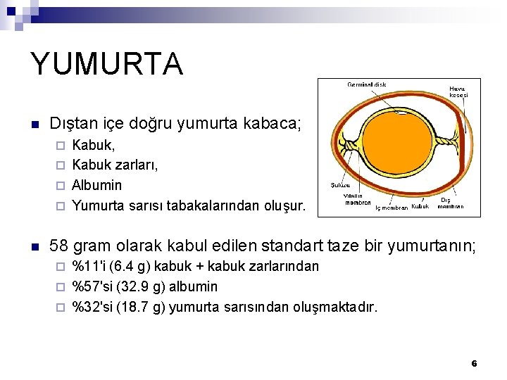 YUMURTA n Dıştan içe doğru yumurta kabaca; Kabuk, ¨ Kabuk zarları, ¨ Albumin ¨