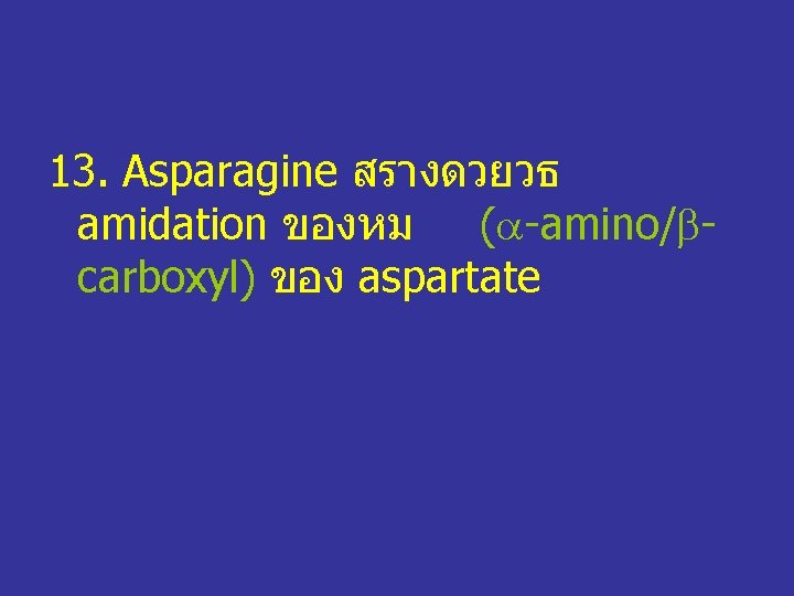 13. Asparagine สรางดวยวธ amidation ของหม ( -amino/ carboxyl) ของ aspartate 
