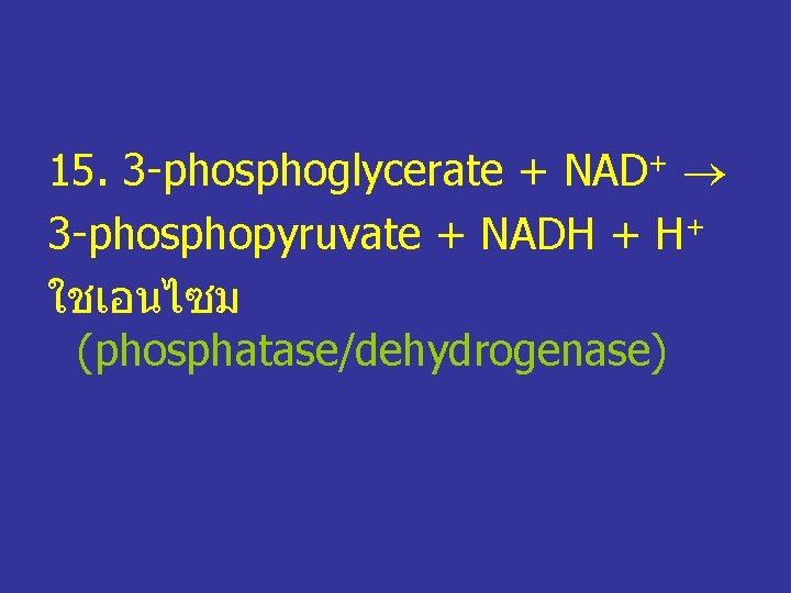 15. 3 -phosphoglycerate + NAD+ 3 -phosphopyruvate + NADH + H+ ใชเอนไซม (phosphatase/dehydrogenase) 
