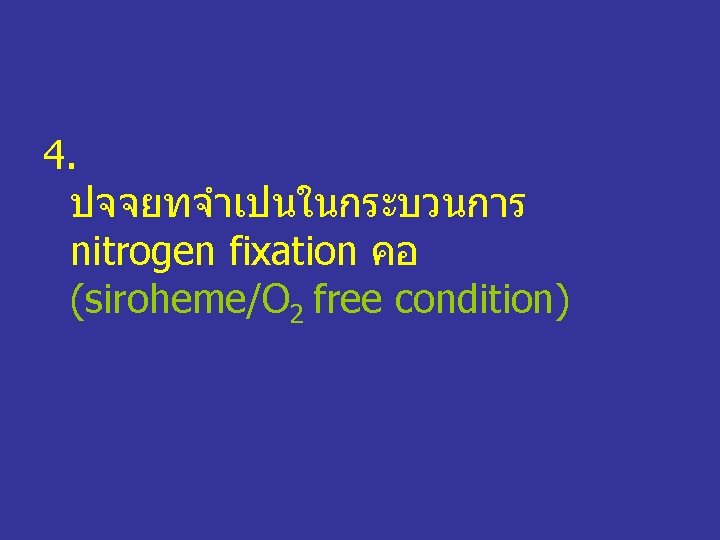4. ปจจยทจำเปนในกระบวนการ nitrogen fixation คอ (siroheme/O 2 free condition) 