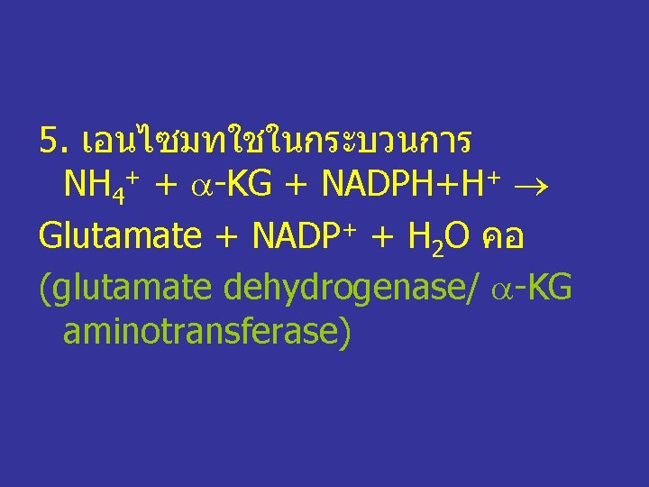 5. เอนไซมทใชในกระบวนการ NH 4+ + -KG + NADPH+H+ Glutamate + NADP+ + H 2
