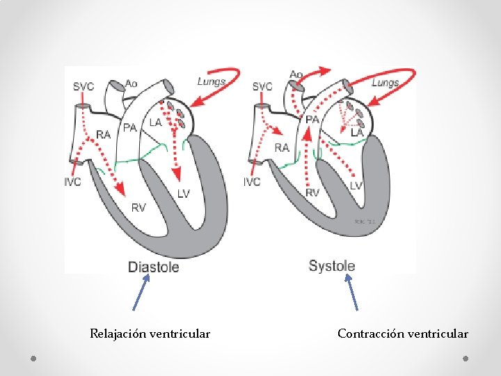 Relajación ventricular Contracción ventricular 