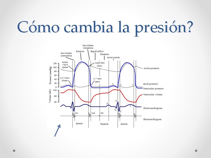 Cómo cambia la presión? 