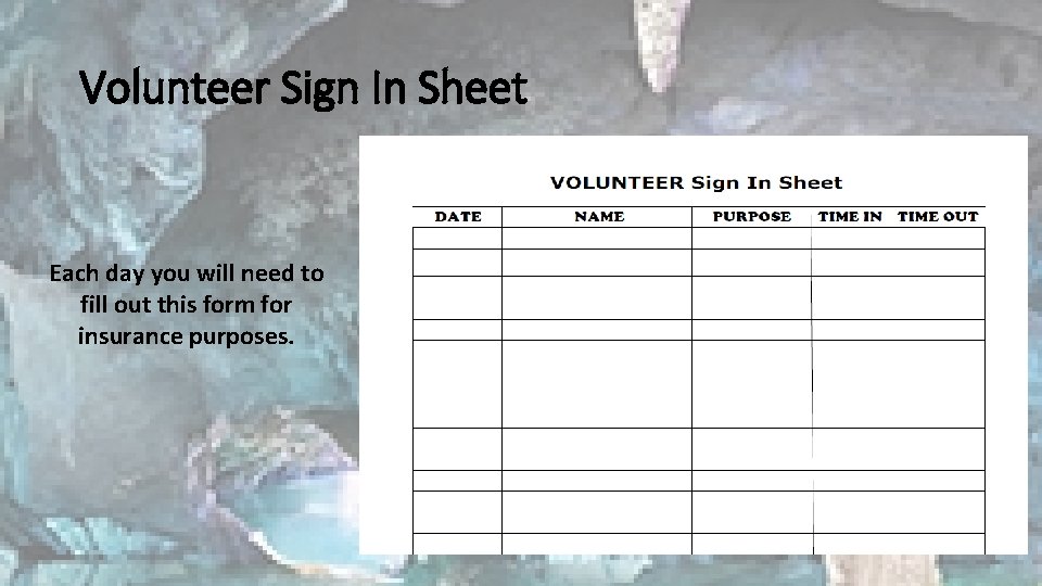 Volunteer Sign In Sheet Each day you will need to fill out this form