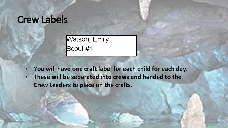 Crew Labels Watson, Emily Scout #1 • You will have one craft label for