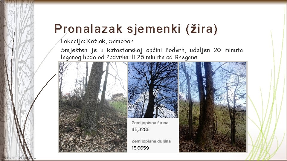 Pronalazak sjemenki ( ž ira) Lokacija: Kožlak, Samobor Smješten je u katastarskoj općini Podvrh,