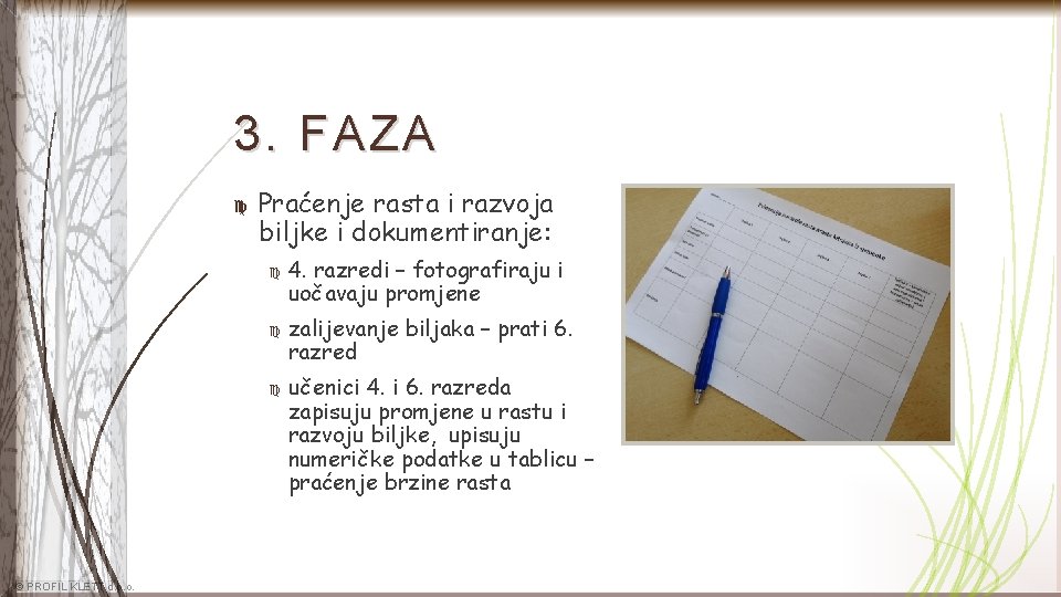 3. FAZA Praćenje rasta i razvoja biljke i dokumentiranje: © PROFIL KLETT d. o.