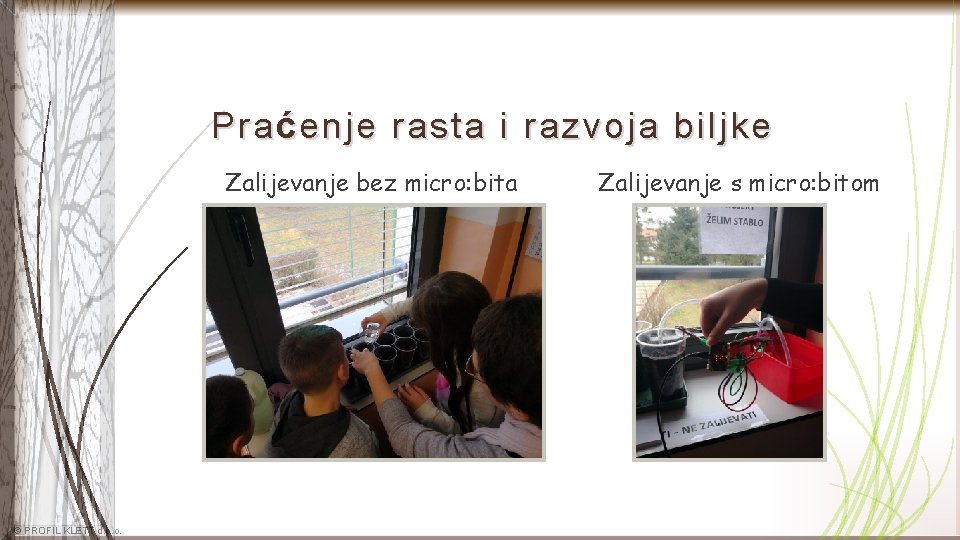 Pra ć enje rasta i razvoja biljke Zalijevanje bez micro: bita © PROFIL KLETT