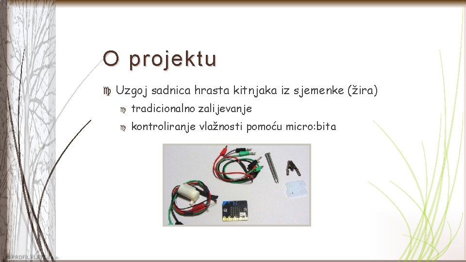 O projektu © PROFIL KLETT d. o. o. Uzgoj sadnica hrasta kitnjaka iz sjemenke