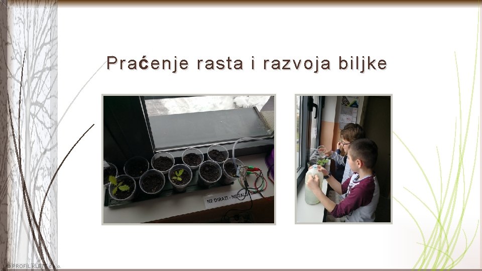Pra ć enje rasta i razvoja biljke © PROFIL KLETT d. o. o. 