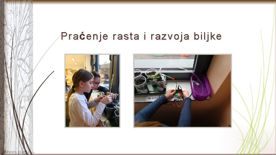 Pra ć enje rasta i razvoja biljke © PROFIL KLETT d. o. o. 