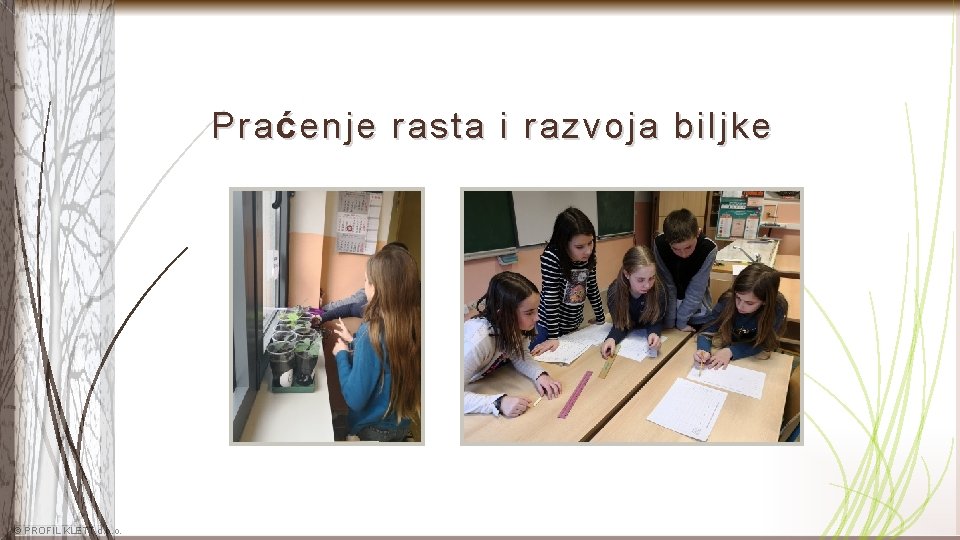 Pra ć enje rasta i razvoja biljke © PROFIL KLETT d. o. o. 