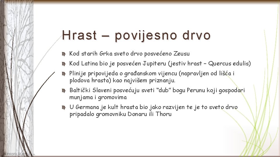 Hrast – povijesno drvo © PROFIL KLETT d. o. o. Kod starih Grka sveto