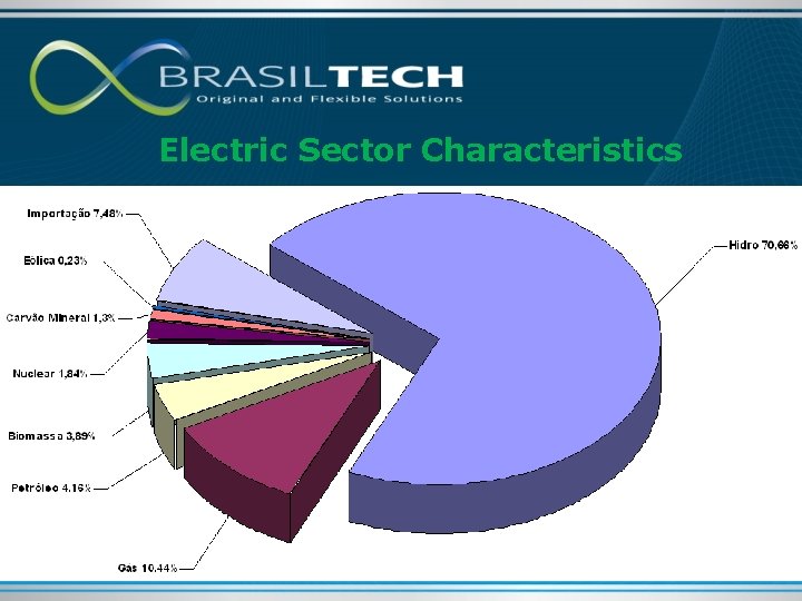 Electric Sector Characteristics 