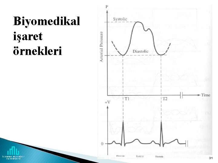 Biyomedikal işaret örnekleri 31 