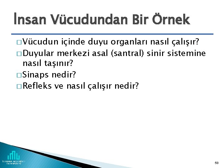 İnsan Vücudundan Bir Örnek � Vücudun içinde duyu organları nasıl çalışır? � Duyular merkezi