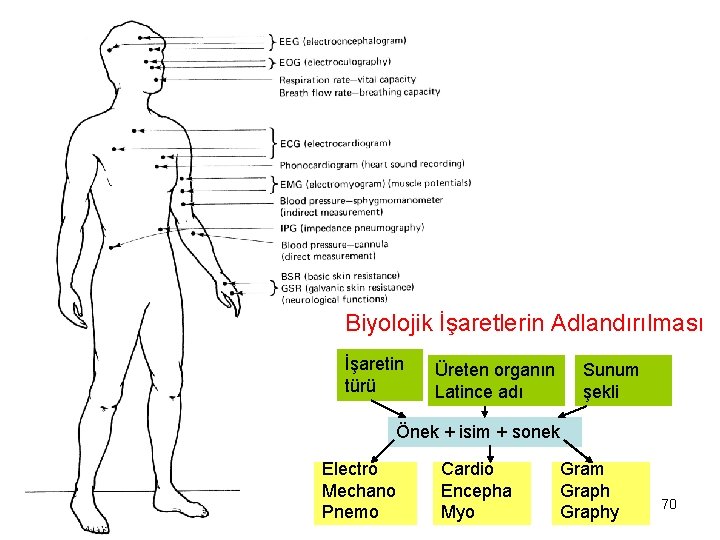 Biyolojik İşaretlerin Adlandırılması İşaretin türü Üreten organın Latince adı Sunum şekli Önek + isim