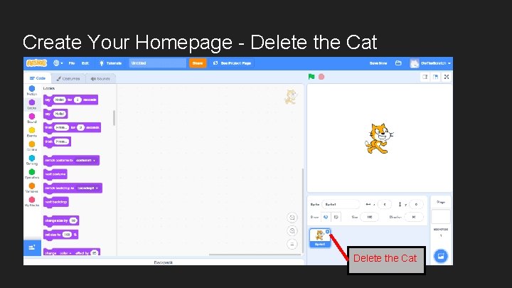 Create Your Homepage - Delete the Cat 
