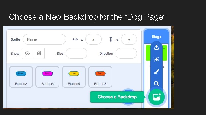 Choose a New Backdrop for the “Dog Page” 