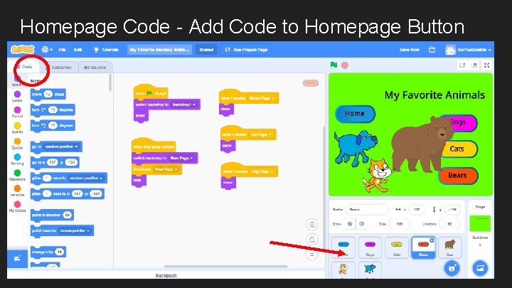 Homepage Code - Add Code to Homepage Button 