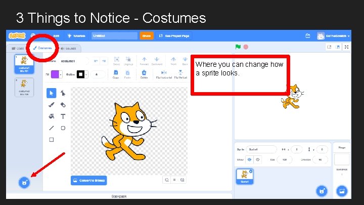 3 Things to Notice - Costumes Where you can change how a sprite looks.