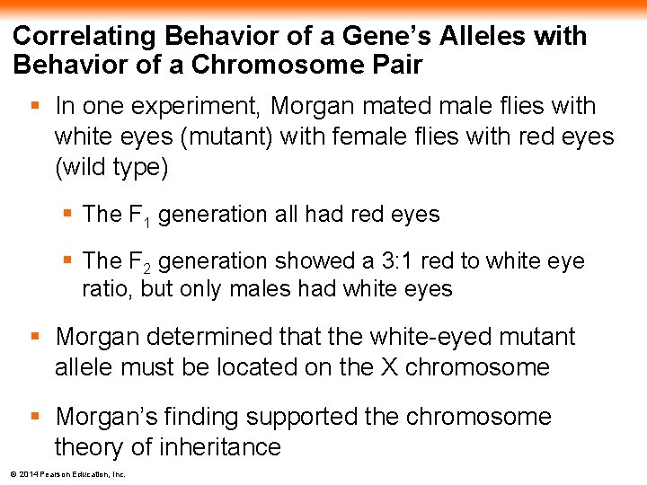 Correlating Behavior of a Gene’s Alleles with Behavior of a Chromosome Pair § In