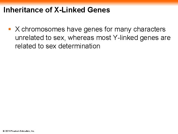 Inheritance of X-Linked Genes § X chromosomes have genes for many characters unrelated to