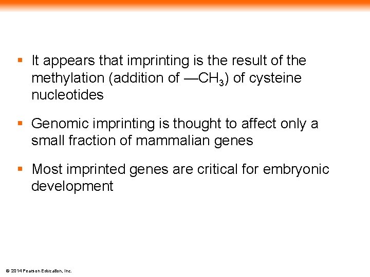 § It appears that imprinting is the result of the methylation (addition of —CH