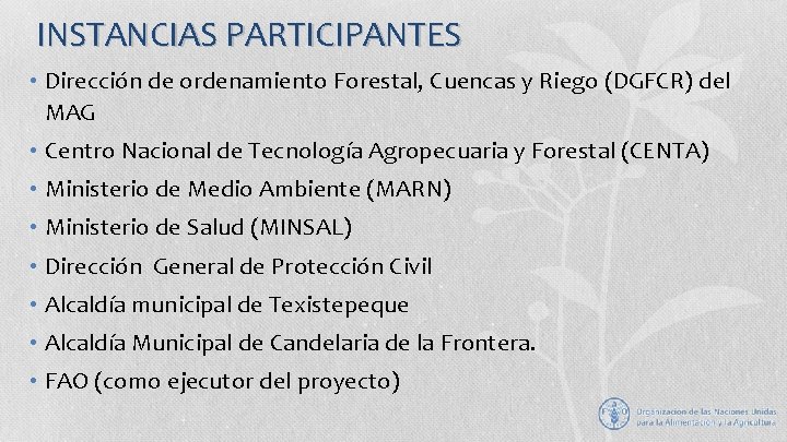 INSTANCIAS PARTICIPANTES • Dirección de ordenamiento Forestal, Cuencas y Riego (DGFCR) del MAG •