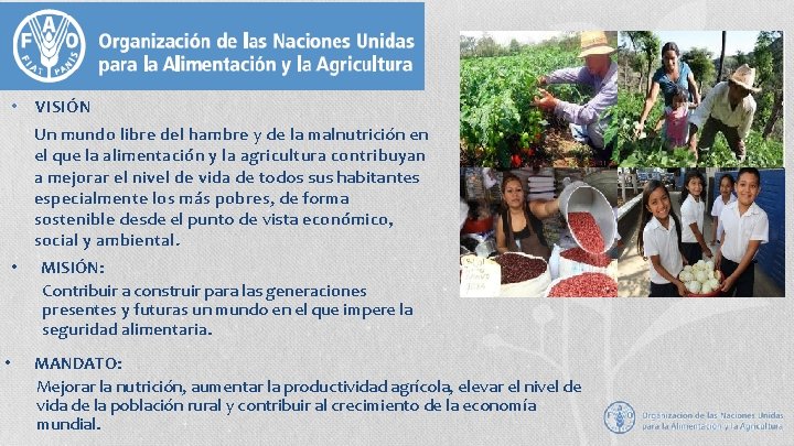  • VISIÓN Un mundo libre del hambre y de la malnutrición en el