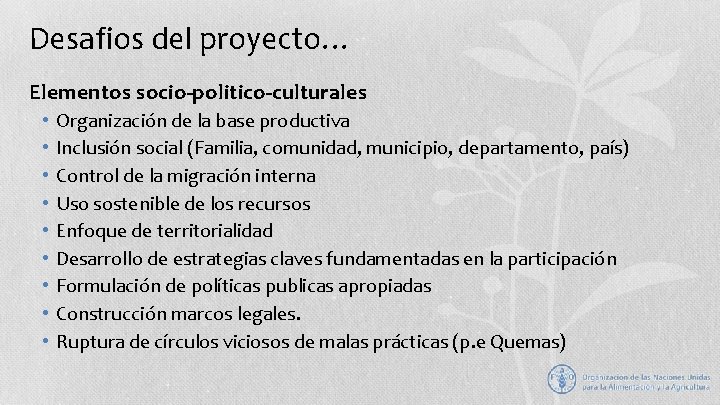 Desafios del proyecto… Elementos socio-politico-culturales • • • Organización de la base productiva Inclusión