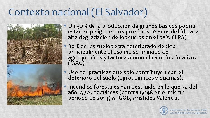 Contexto nacional (El Salvador) • Un 30 % de la producción de granos básicos