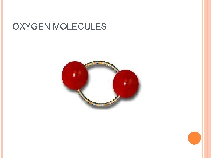 OXYGEN MOLECULES 