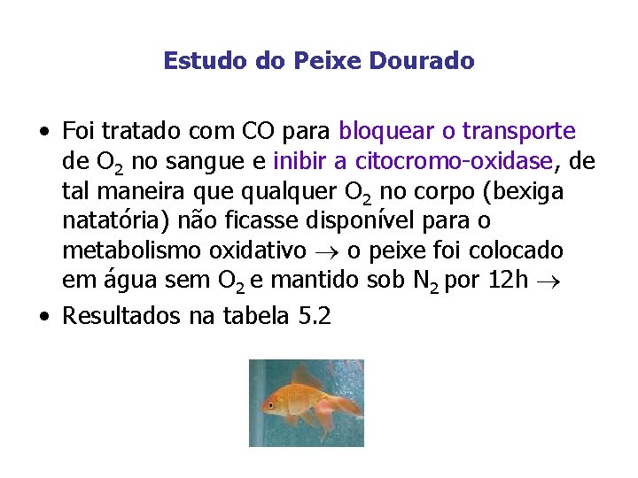 Estudo do Peixe Dourado • Foi tratado com CO para bloquear o transporte de