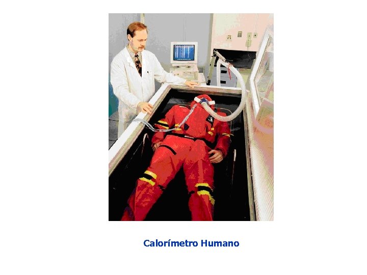 Calorímetro Humano 