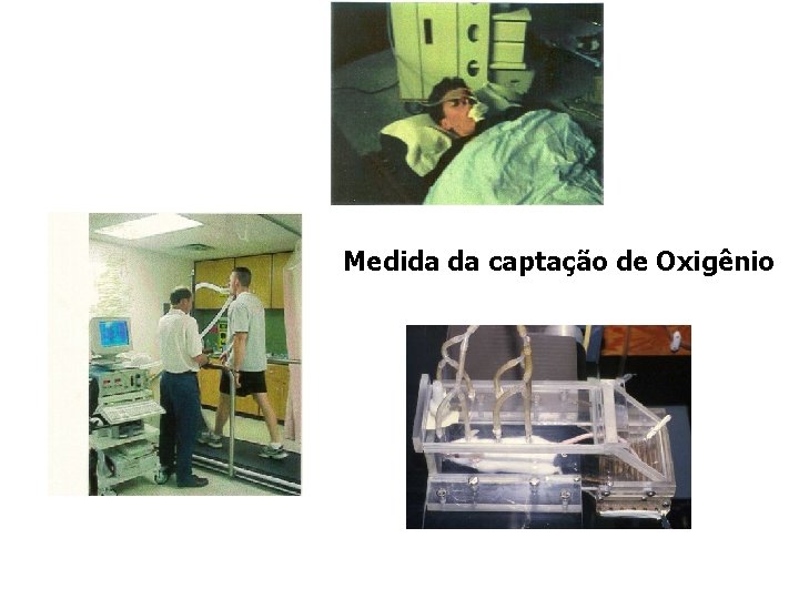 Medida da captação de Oxigênio 