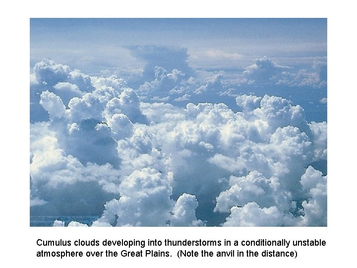 Cumulus clouds developing into thunderstorms in a conditionally unstable atmosphere over the Great Plains.