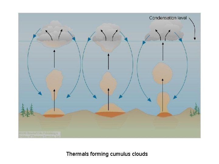 Thermals forming cumulus clouds 