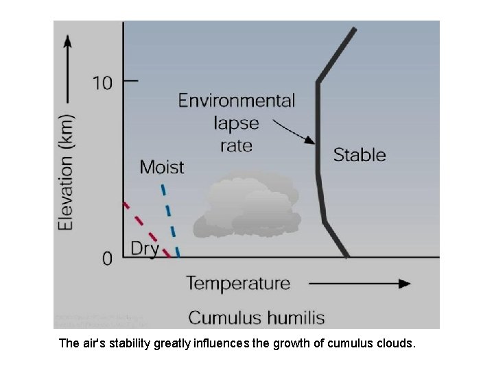 The air's stability greatly influences the growth of cumulus clouds. 