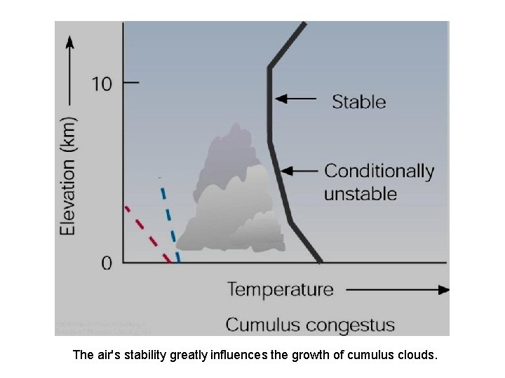 The air's stability greatly influences the growth of cumulus clouds. 