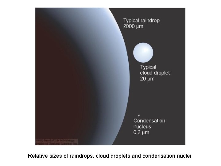 Relative sizes of raindrops, cloud droplets and condensation nuclei 