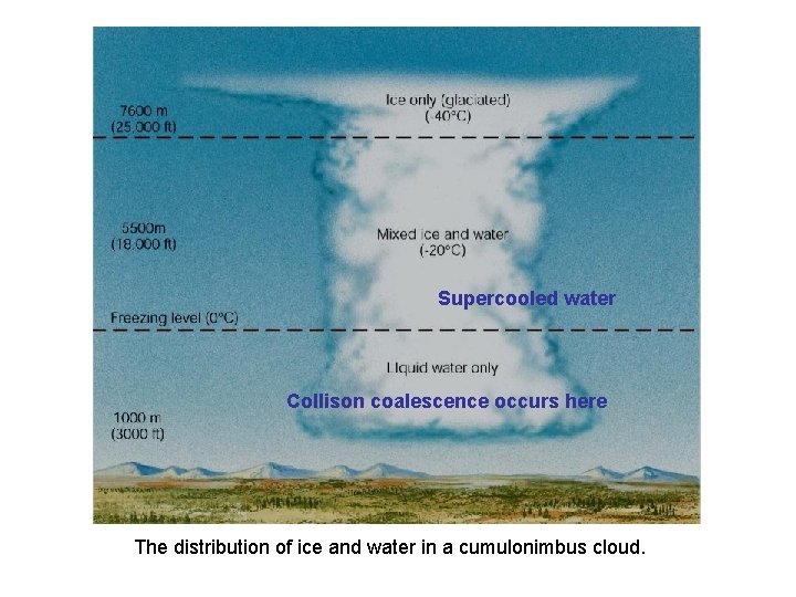 Supercooled water Collison coalescence occurs here The distribution of ice and water in a