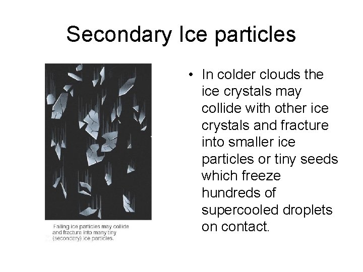 Secondary Ice particles • In colder clouds the ice crystals may collide with other