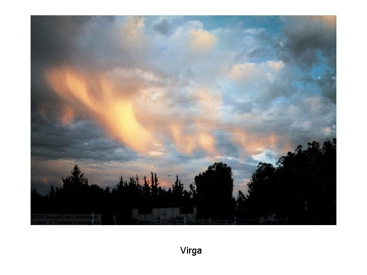 Virga 