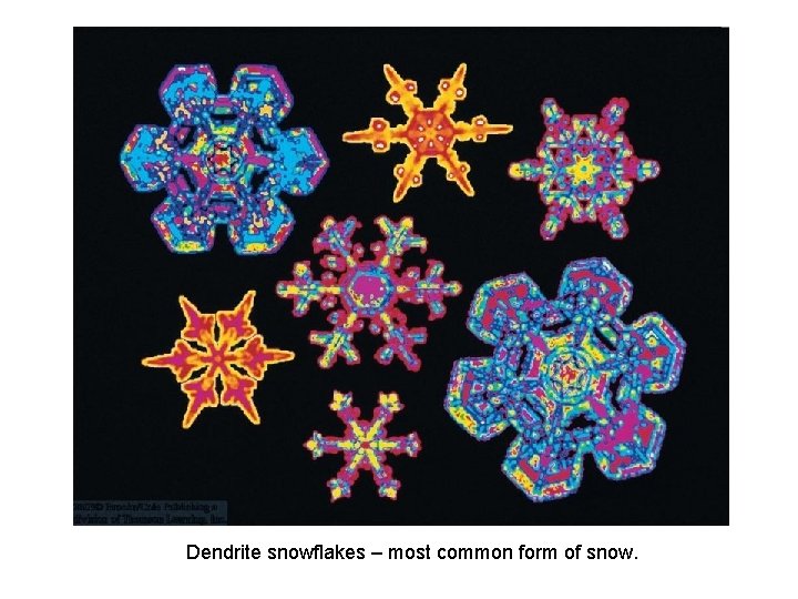 Dendrite snowflakes – most common form of snow. 