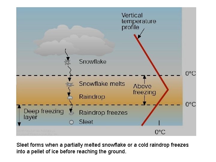 Sleet forms when a partially melted snowflake or a cold raindrop freezes into a