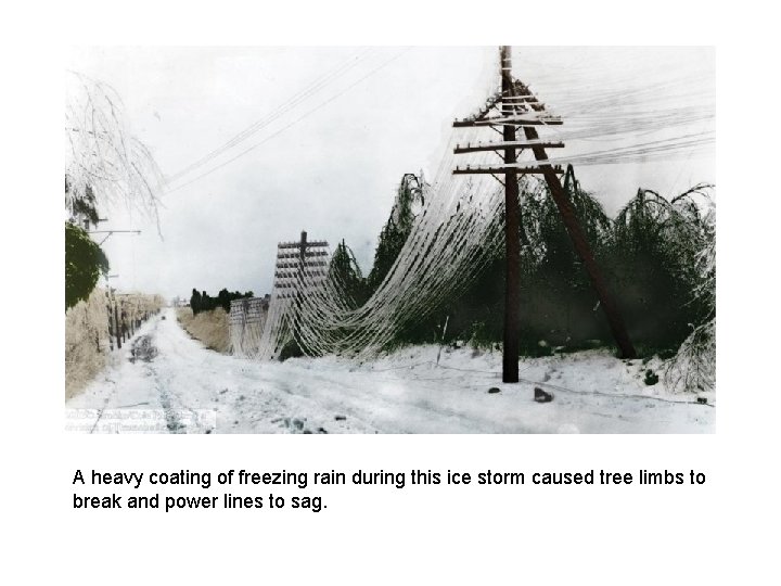 A heavy coating of freezing rain during this ice storm caused tree limbs to