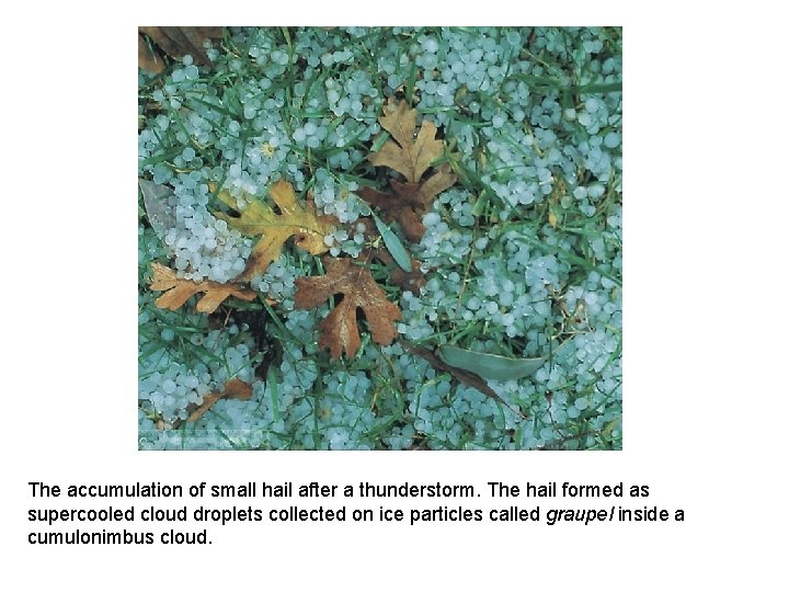 The accumulation of small hail after a thunderstorm. The hail formed as supercooled cloud